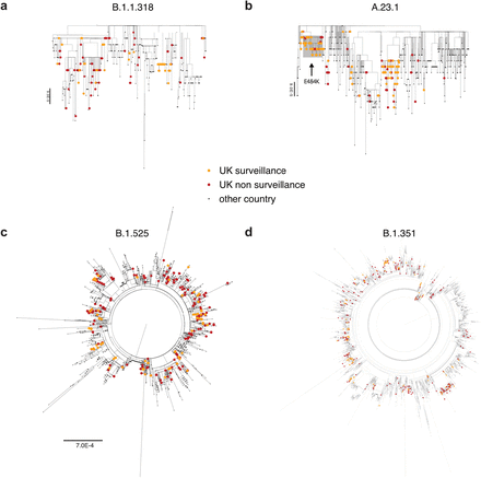 Extended Data Figure 7.