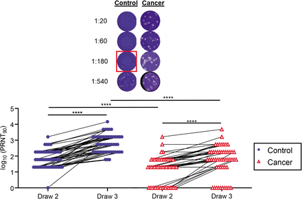 Figure 2: