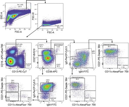 Extended Data Figure 1: