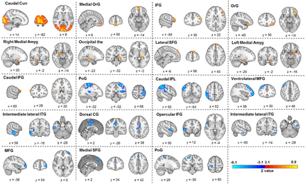 Figure 4: