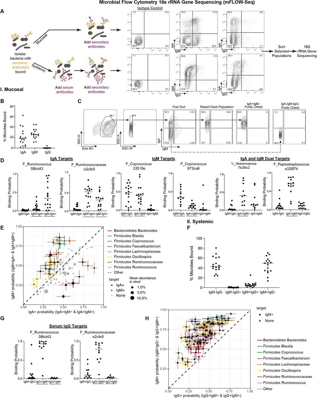 Microbial ecology perturbation in human IgA deficiency