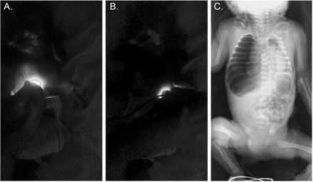 Figure 2.