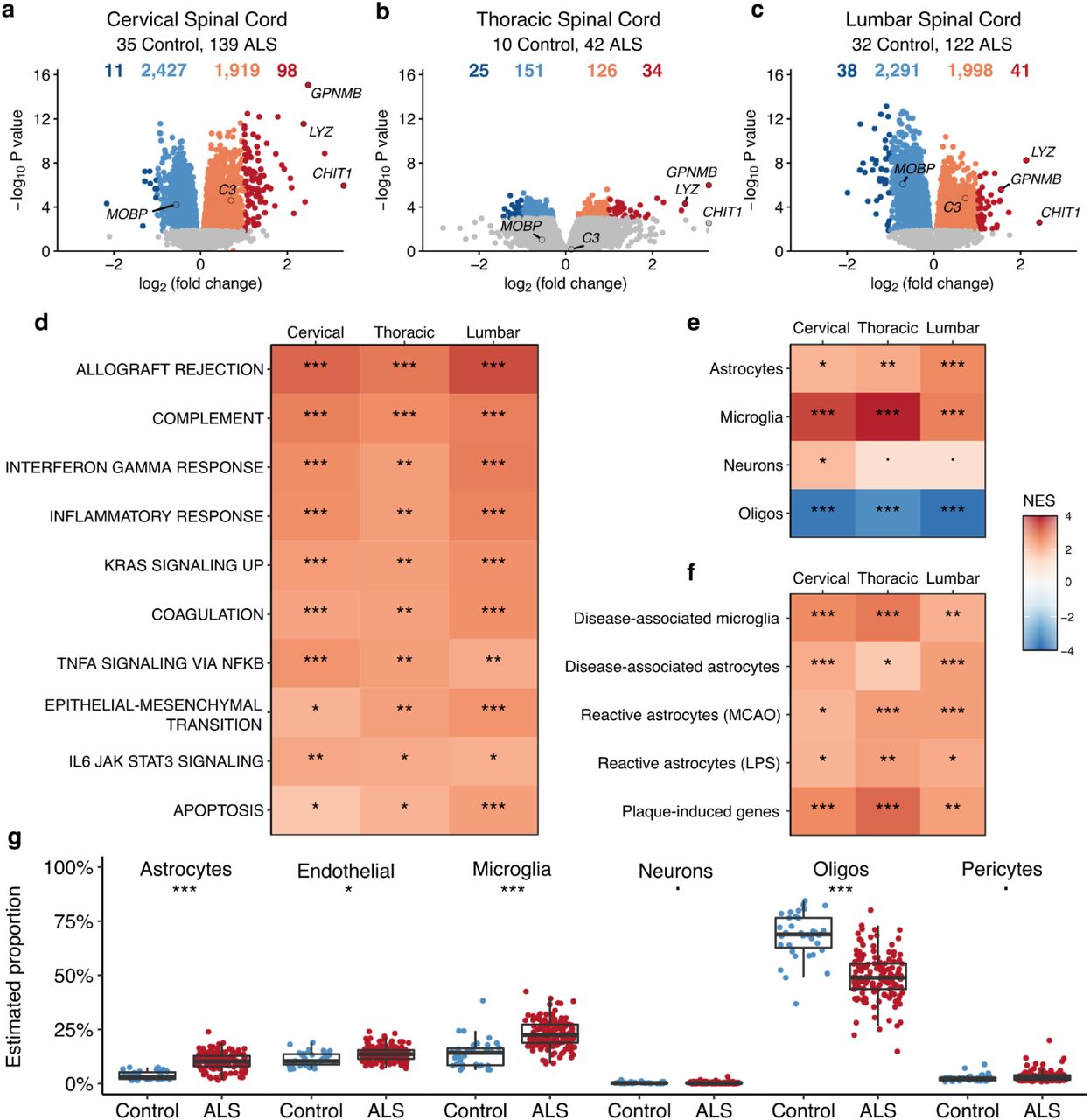 Integrative genetic analysis of the amyotrophic lateral sclerosis