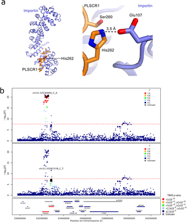 Figure 3: