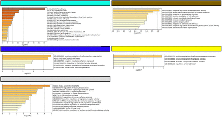 Supplemental Figure 2.