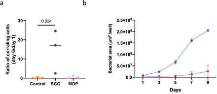 Figure 9.