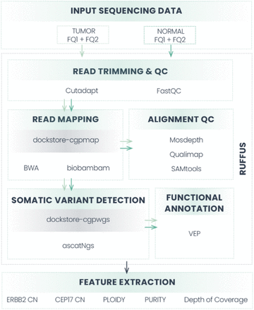 Figure 1: