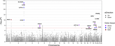 Figure 2: