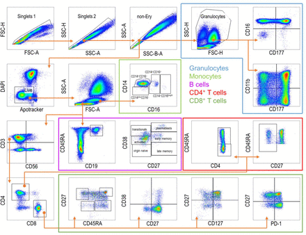 Supplementary Figure 1