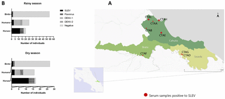 Fig 2: