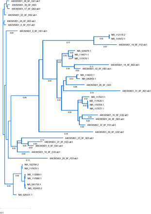 Figure 2: