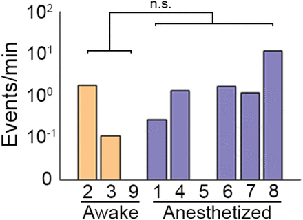 Supplementary Figure 1.