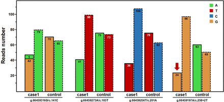 FIGURE 4