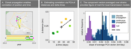 Figure 3: