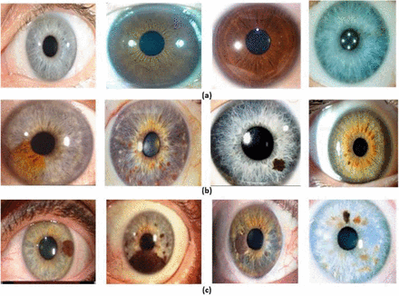 Figure 2: