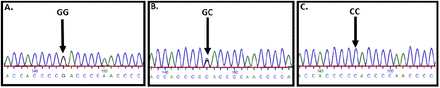 Figure 3: