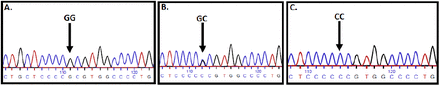 Figure 5: