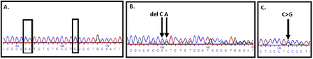 Figure 6: