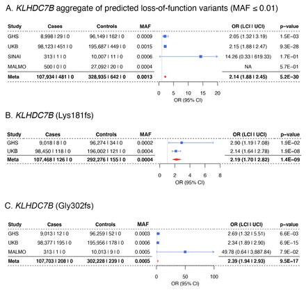 Figure 3: