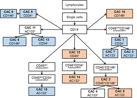 Scheme 2.