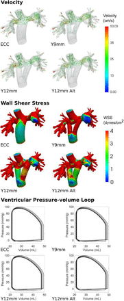 Figure 3: