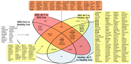 Supplementary Figure 1.