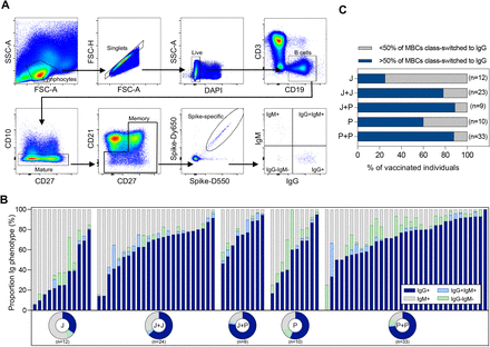 Figure 4: