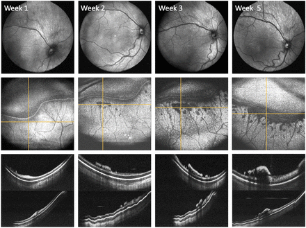 Figure 2.