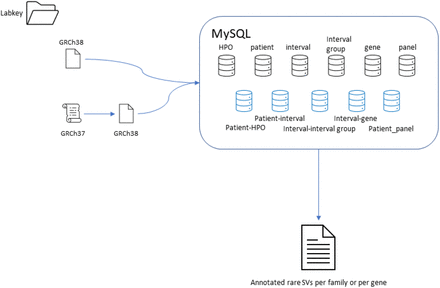 Figure 2: