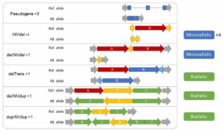 Figure 4: