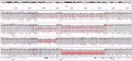 Figure 6: