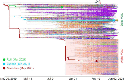 Figure 4.