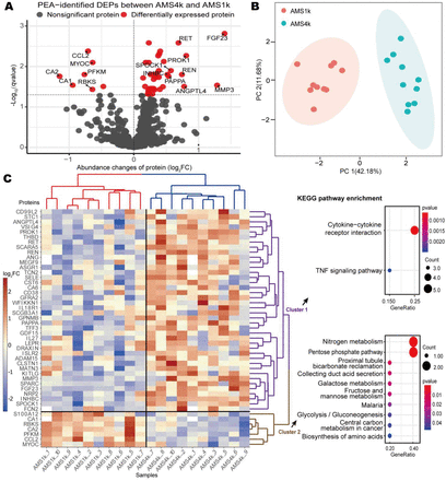 Figure 2: