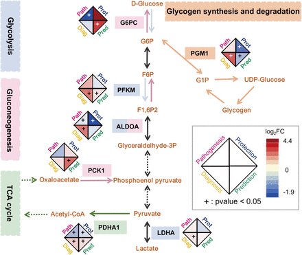 Figure 4: