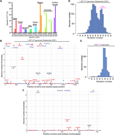 Figure 7.