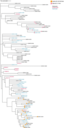 Figure 4: