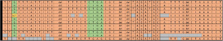 Figure 3: