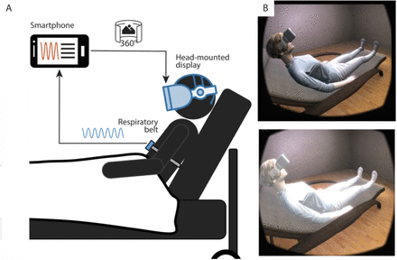 Figure 2: