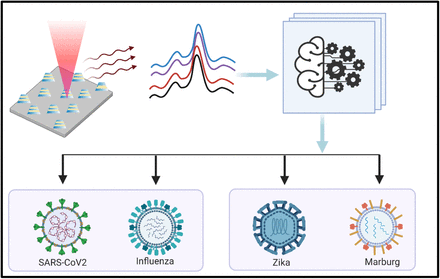 Figure 1: