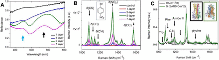 Figure 3: