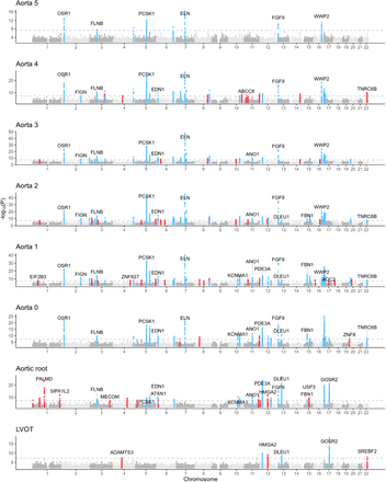 Figure 2: