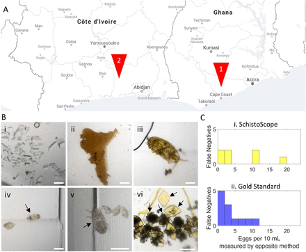 Figure 3: