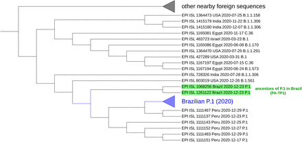 Figure 6.