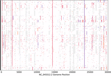 Supplementary-Figure 2.