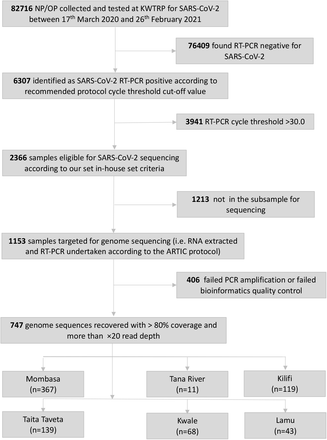 Supplementary-Figure 1.