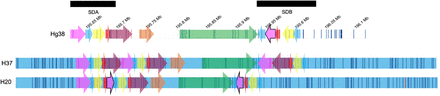 Figure S9: