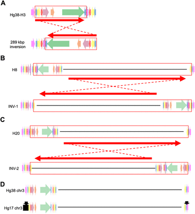 Figure 3: