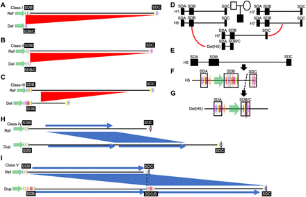 Figure 5: