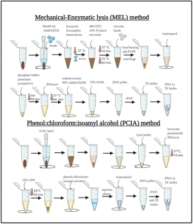 Figure 2: