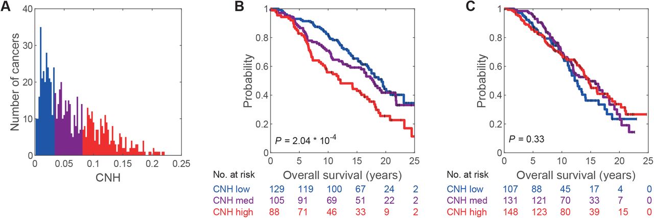 Copy number heterogeneity identifies ER+ breast cancer patients with  adverse outcome after adjuvant endocrine therapy